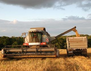 «Агротрейд» намолотив більше 100 тис. тонн зерна